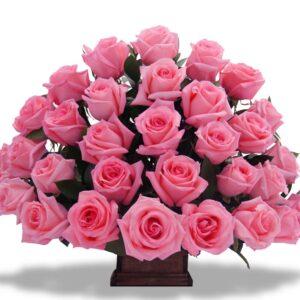Redondo(1cara) Rosas Rosadas X 24