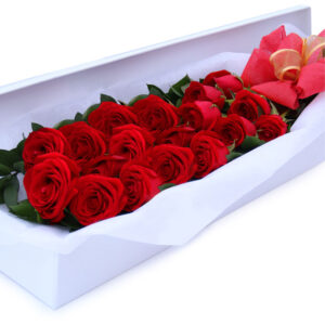 Caja Rosas Rojas X 18