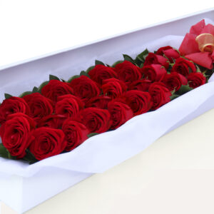 Caja Rosas Rojas X 24