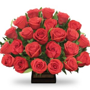 Ramo Redondo(1cara) Rosas Rojas X 24