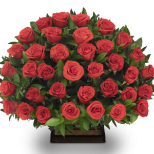 Ramo Redondo(1cara) Rosas Rojas X 36