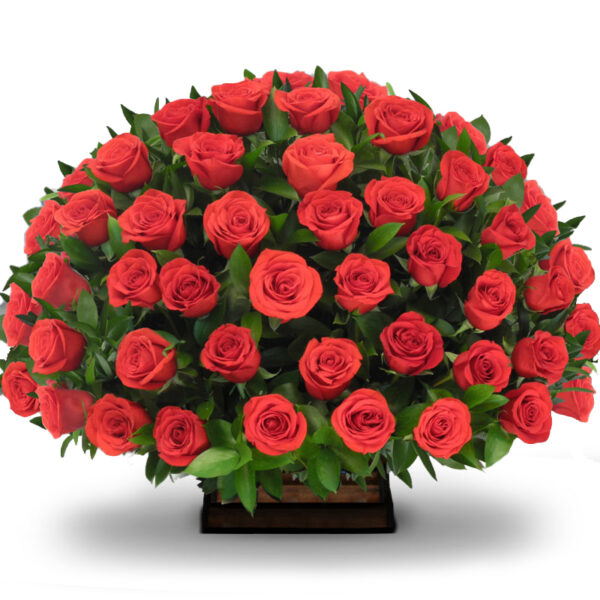 Ramo Redondo(1cara) Rosas Rojas X 48