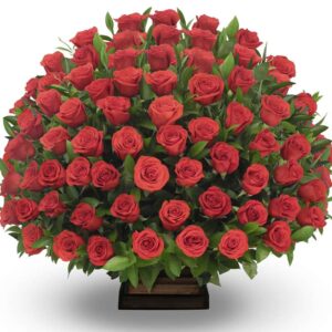 Ramo Redondo(1cara) Rosas Rojas X 72