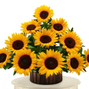 Ramo Triangular Girasoles X 12