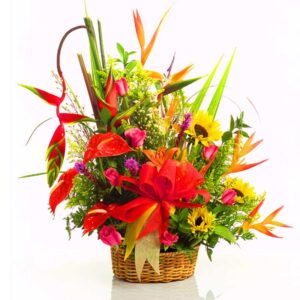 Canasta Triangular Girasoles y otras X 19