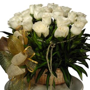Ramo Redondo(1cara) Rosas Blancas X 24