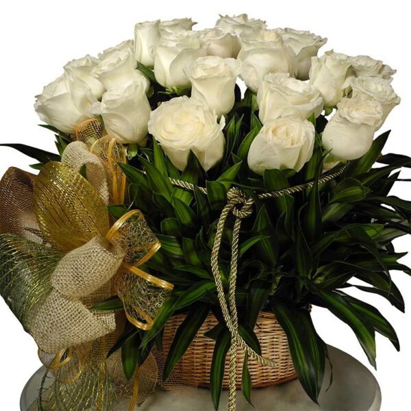 Ramo Redondo(1cara) Rosas Blancas X 24