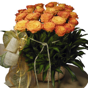 Ramo Redondo(1cara) Rosas Naranja X 24