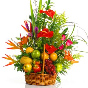Frutero Heliconias Rojas y otras X 14