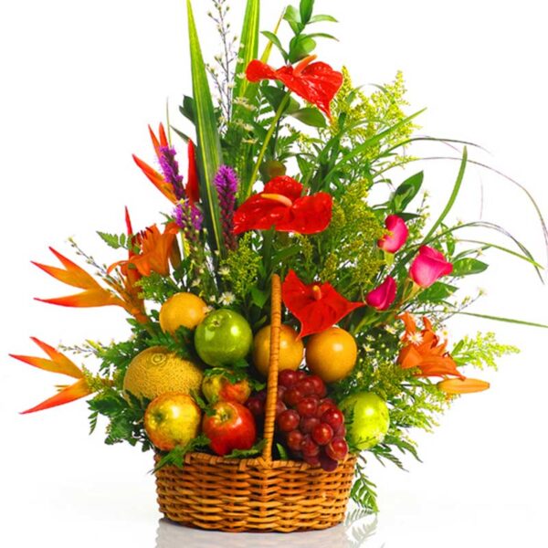 Frutero Heliconias Rojas y otras X 14