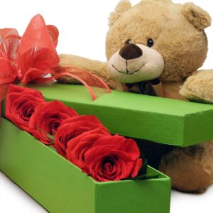 Caja Rosas Rojas X 5, Oso De 20cm
