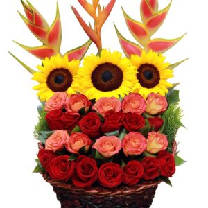 Canasta Redondo(1cara) Girasoles y otras X 29