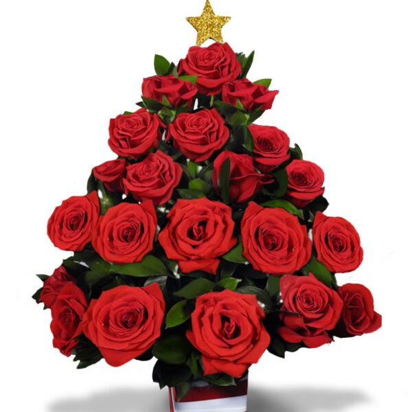 Florero De Vidrio Triangular Rosas Rojas X 24