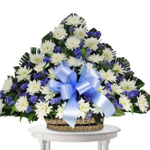 Canasta Triangular Pompones Blancos y otras X 36