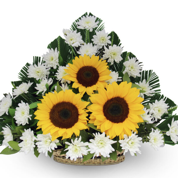 Canasta Triangular Pompones Blancos y otras X 60