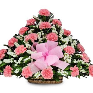 Canasta Triangular Pompones Blancos y otras X 27